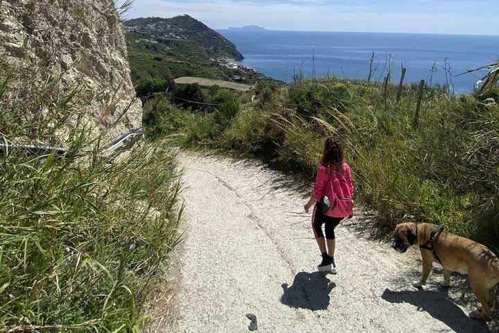 Ischia Savage: via Iesca e Cavascura