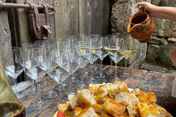 Ischia Savage: Visita e degustazione Cantina