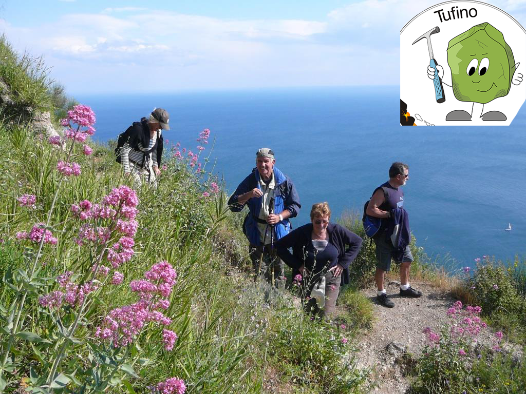 Escursione: trekking tra le baie