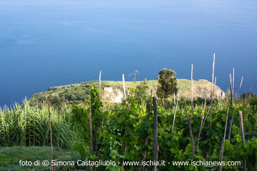 Escursione: Isola affascinante est in minibus