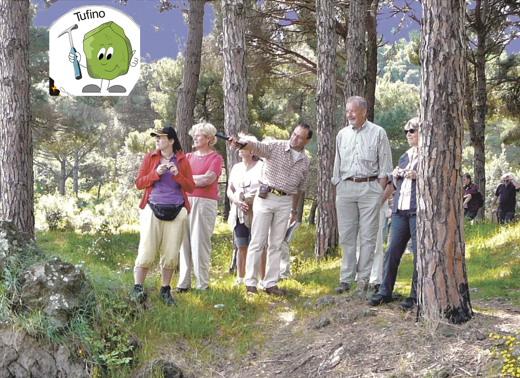 Escursione: Tour per i vulcani in minubus