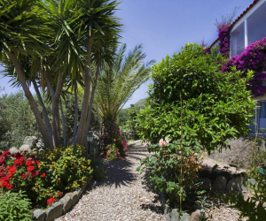 Agriturismo La Pergola