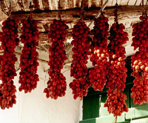 Agriturismo La Pergola