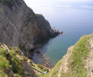 Hotel al Bosco